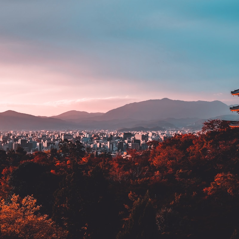 小紋生地のミニバッグ