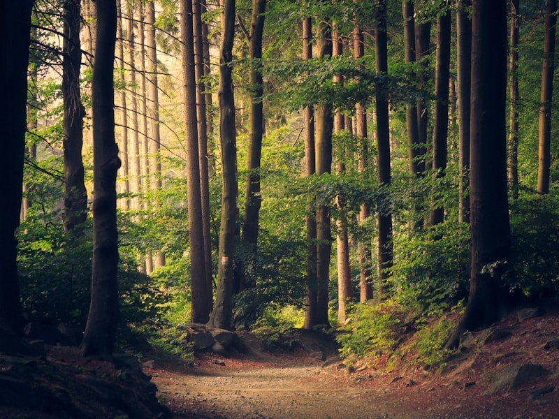 JIBショルダーバッグ